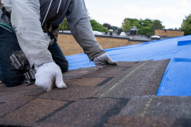 Roof Waterproofing Services in Bridgeport, AL