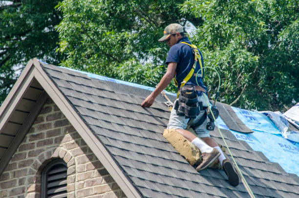 Best Roof Restoration Services  in Bridgeport, AL